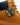 Timberland x New Era Boston Red Sox 6-Inch Waterproof Boot